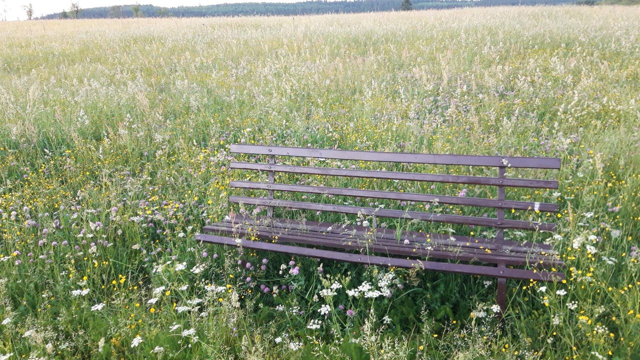 20210621_210251_resized 20210621_210251_resized